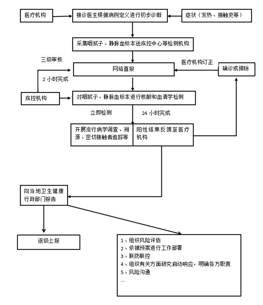 早发现早报告流程图.png