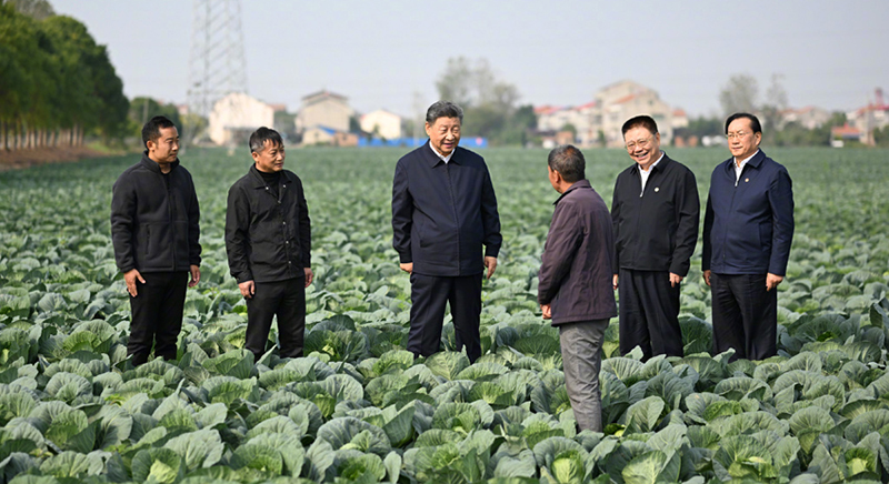 习近平在湖北考察调研